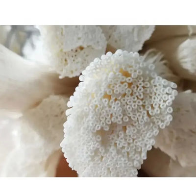 Hydrofiele PVDF MBR-gordijnmembranen voor aquacultuur