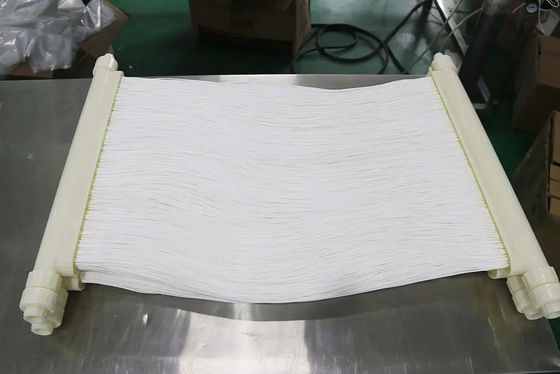 MBR-membranen Gordijnmodules op basis van verbeterde PVDF voor voedselverwerking