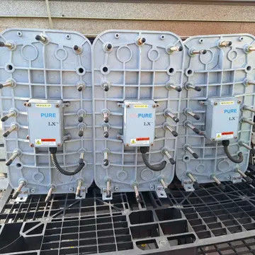 Ionpure CEDI LX-Z IP-LXM30Z-5 voor de productie van zuiver water