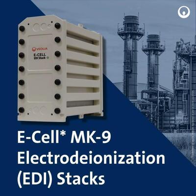 E-Cell MK-9 EDI-stapel voor de productie van water van hoge zuiverheid met 18,5-44,0 GPM-stroombereik en geen chemische regeneratie in roestvrij staal