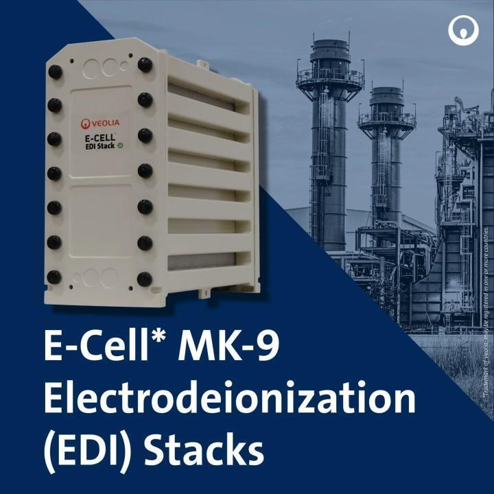 E-Cell MK-9 EDI-stapel voor de productie van water van hoge zuiverheid met 18,5-44,0 GPM-stroombereik en geen chemische regeneratie in roestvrij staal