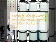 Compact omgekeerd osmose-systeem met brak water voor zuiveringsbehoeften van 250 L/h